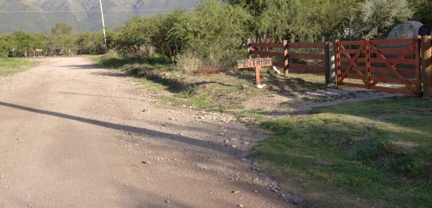 COMPLEJO DE CABAÑAS EN CARPINTERIA