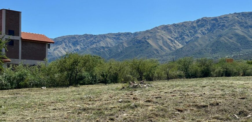 AMPLIO LOTE SOBRE CAMINO DEL INDIO