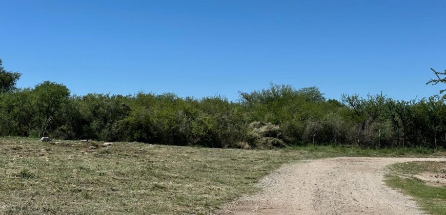 AMPLIO LOTE SOBRE CAMINO DEL INDIO