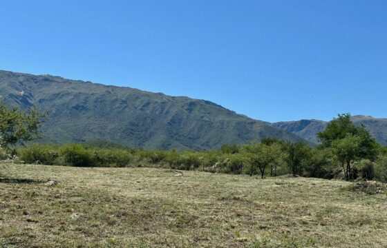 AMPLIO LOTE SOBRE CAMINO DEL INDIO