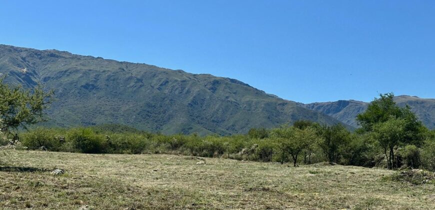 AMPLIO LOTE SOBRE CAMINO DEL INDIO