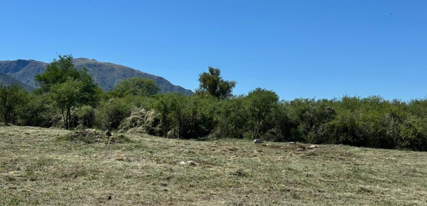 AMPLIO LOTE SOBRE CAMINO DEL INDIO