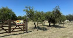 QUINCHO + PISCINA EN CORTADERAS